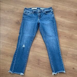 Pilcro and the Letterpress Slim Boyfriend Jean size 27